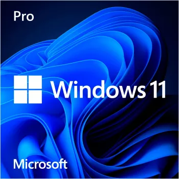Windows 11 Pro operacinė sistema 64 bitų, vokiška, USB atmintinė