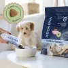 ADDVENA Power of Nature Junior Small Lamb sausas šunų ėdalas - 2,5 kg