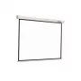 Reflecta CrystalLine Rollo projekcinis ekranas 1:1 196x196 cm