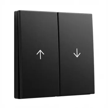 Rokerinis 2-jų grupių su rodyklėmis Gira System 55 3294005 juodas