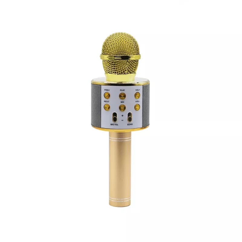 Mikrofonas MANTA MIC10-G auksinis kardioidinis nešiojamas