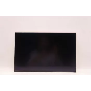 Atraminis LCD ekrano skydelis AUO 16.0 colių WUXGA IPS AG, skirtas Lenovo nešiojamiesiems kompiuteriams