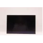 Atraminis LCD ekrano skydelis AUO 16.0 colių WUXGA IPS AG, skirtas Lenovo nešiojamiesiems kompiuteriams