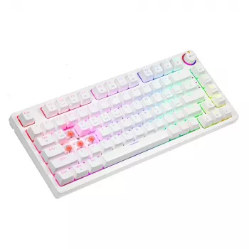 SAVIO PHENIX WHITE belaidė mechaninė klaviatūra, Gateron Red Pro, ABS