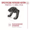 Šlapias kačių ėdalas Royal Canin FHN Ageing 11+ Gravy 12×85 g – senjorams skirti pilnaverčiai dubenėliai