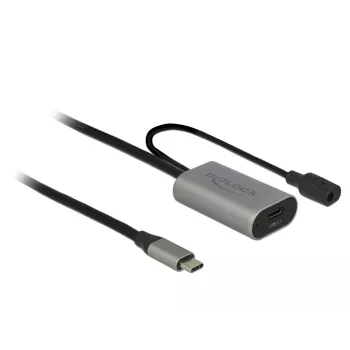 Delock USB-20225 maitinimo adapteris pilka