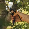 Fiskars Plus SmartFit P541 sodo aplinkinės žirklės juodos, oranžinės