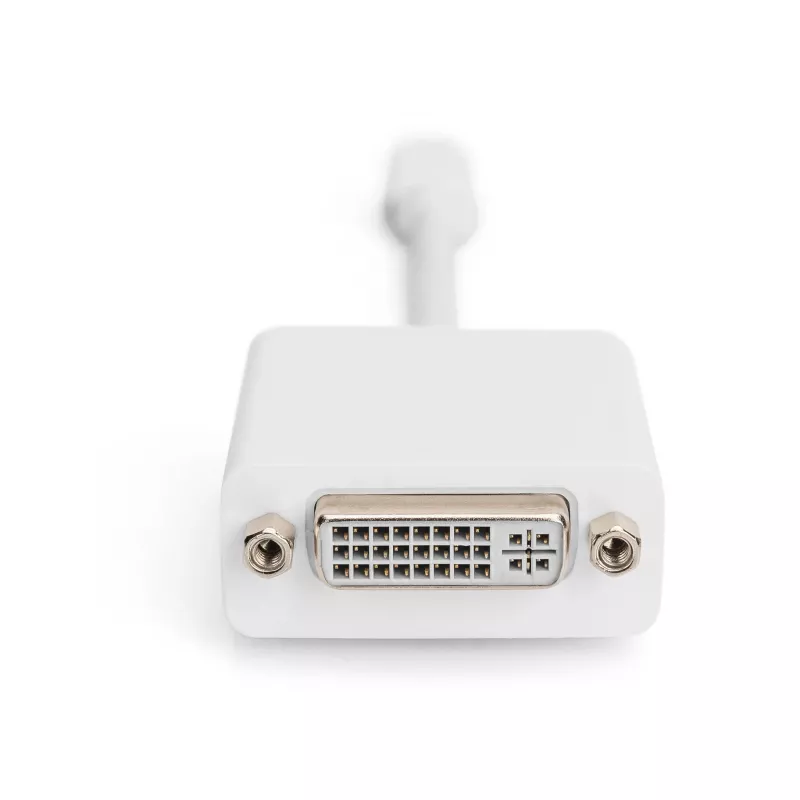 Adapteris DisplayPort Digitus AK-340406-001-W Mini DisplayPort į DVI-D 0,15 m baltas