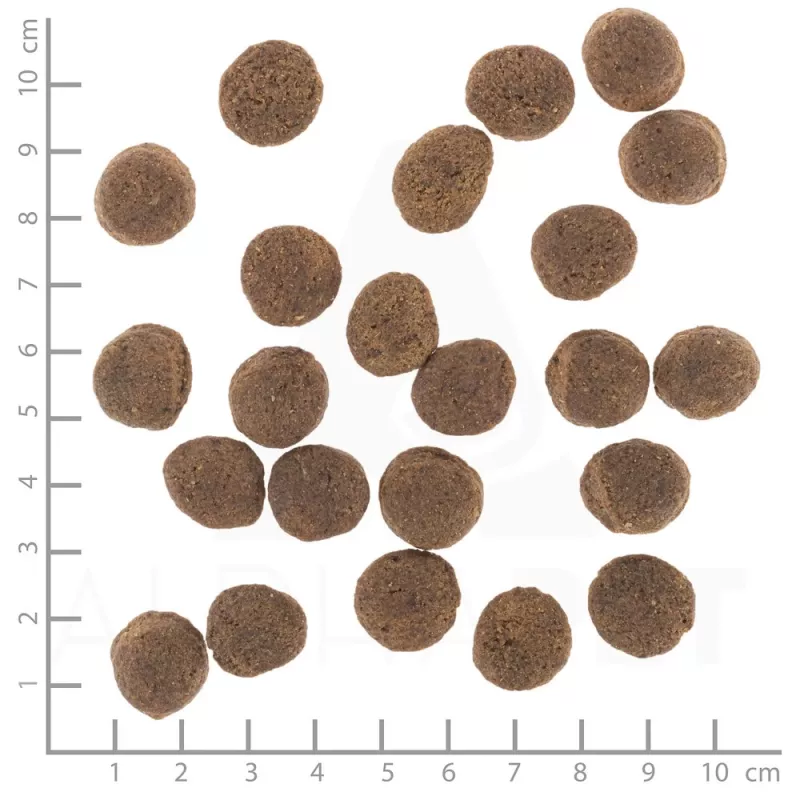 Sausas šunų ėdalas Wolfsblut VetLine Gastrointestinal Duck 2 kg – veterinarinė dieta virškinimo sistemai