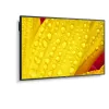 NEC MultiSync M651-2 profesionalus ekranas 65 colių LED 4K Ultra HD 500 cd/m² juodas