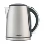 Elektrinis virdulys Zelmer ZCK7930 1.7L 2200W sidabrinis