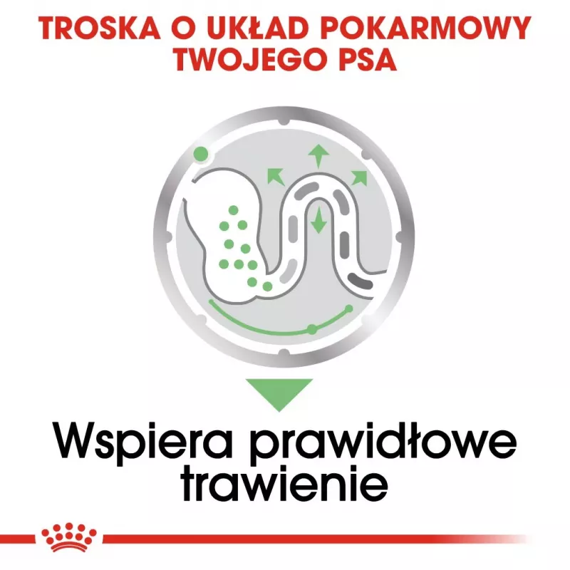 Šlapias šunų maistas Royal Canin Digestive Care Meat & Vegetable maišeliai 12 x 85 g — suaugusiems šunims, virškinimo palaikymui