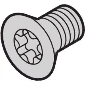 SCHROFF SCREW TORX CSK.M4X14 (100 VNT.) – Rack-Aksesuaras (24560145)