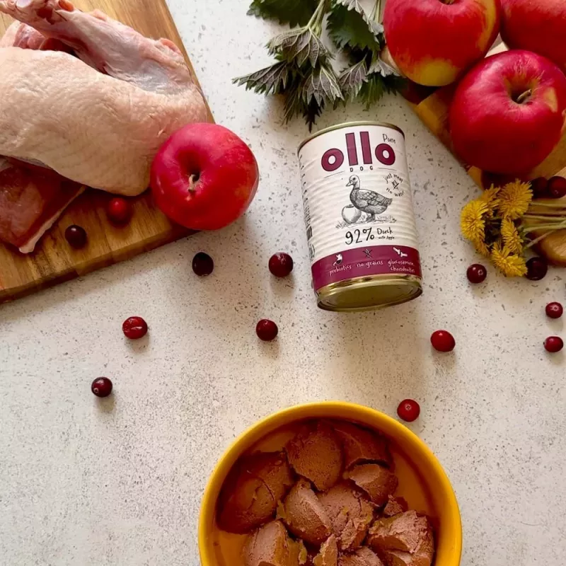 OLLO Pure Duck with apple šlapias šunų ėdalas - 400g