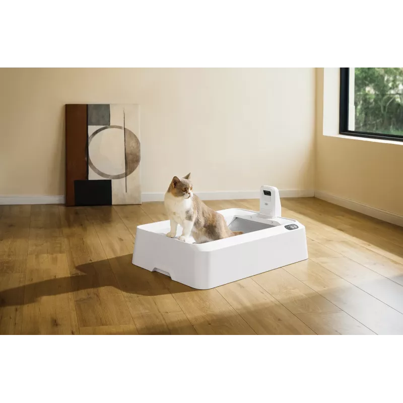 Savaime išsivalantis katino tualetas PETKIT T7-EU, baltas