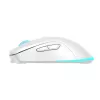 Belaidė pelė Baracuda BGM-122 Turtle White TURTLE-W