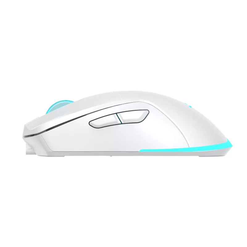 Belaidė pelė Baracuda BGM-122 Turtle White TURTLE-W