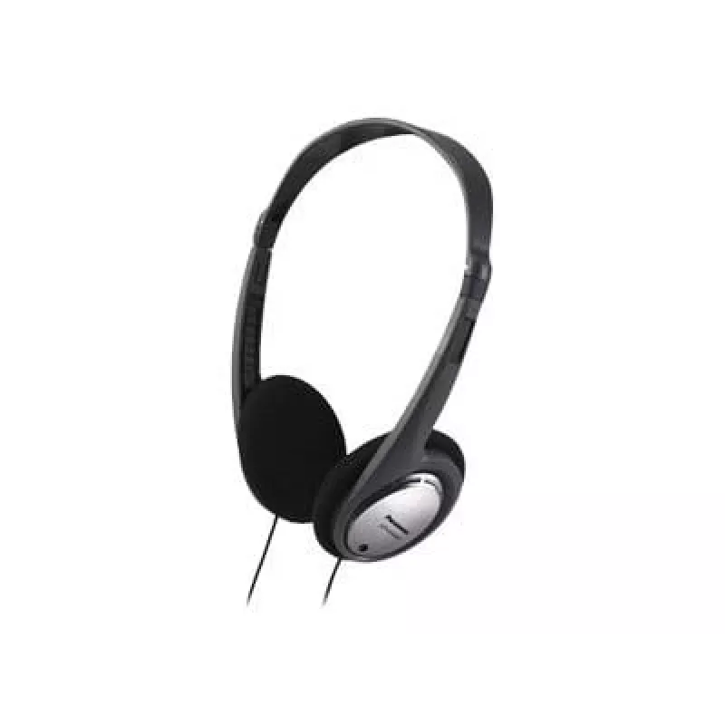 Ausinės Panasonic RP-HT030E-S