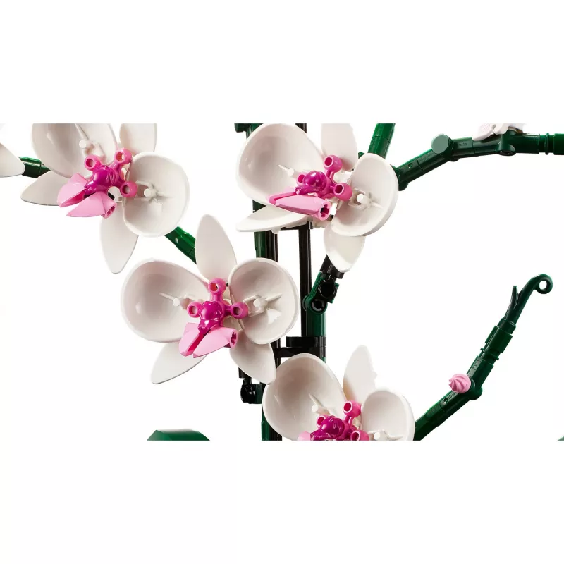 LEGO 10311 Icons Orchid – Dirbtinio augalo konstruktorius su gėlėmis, namų dekoro aksesuaras suaugusiems, Botaninė kolekcija, dovana vyrui ar žmonai