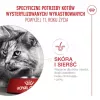 Sausas kačių ėdalas Royal Canin FHN Ageing 11+ 4 kg – pilnavertis ėdalas senjorams, paukštiena, 30 % baltymų