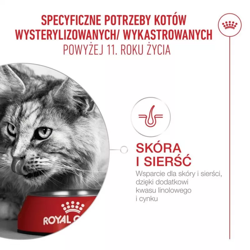 Sausas kačių ėdalas Royal Canin FHN Ageing 11+ 4 kg – pilnavertis ėdalas senjorams, paukštiena, 30 % baltymų