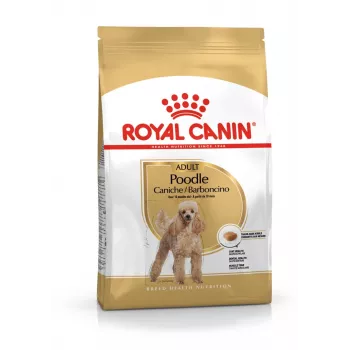 Sausas šunų ėdalas Royal Canin Poodle Adult 1,5 kg – Vištiena, 30% baltymų, 19% riebalų