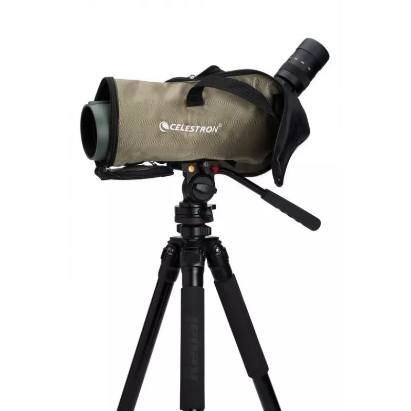 Celestron Regal M2 65ED stebėjimo vamzdis 48x BaK-4 Juoda, Žalia