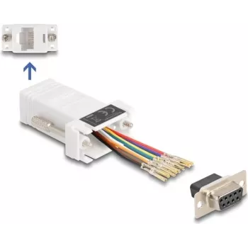 DeLOCK D-Sub 9 patelė į RJ45 patelė surinkimo rinkinys baltas VGA RJ-45