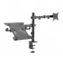 Sieninis laikiklis monitoriui SBOX LCD-LM01-2, 13–27 colių, 12 kg, VESA 100x100
