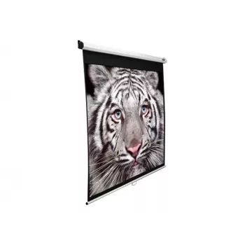 Projektinis ekranas Elite Screens M150XWH2 3.81 m 16:9