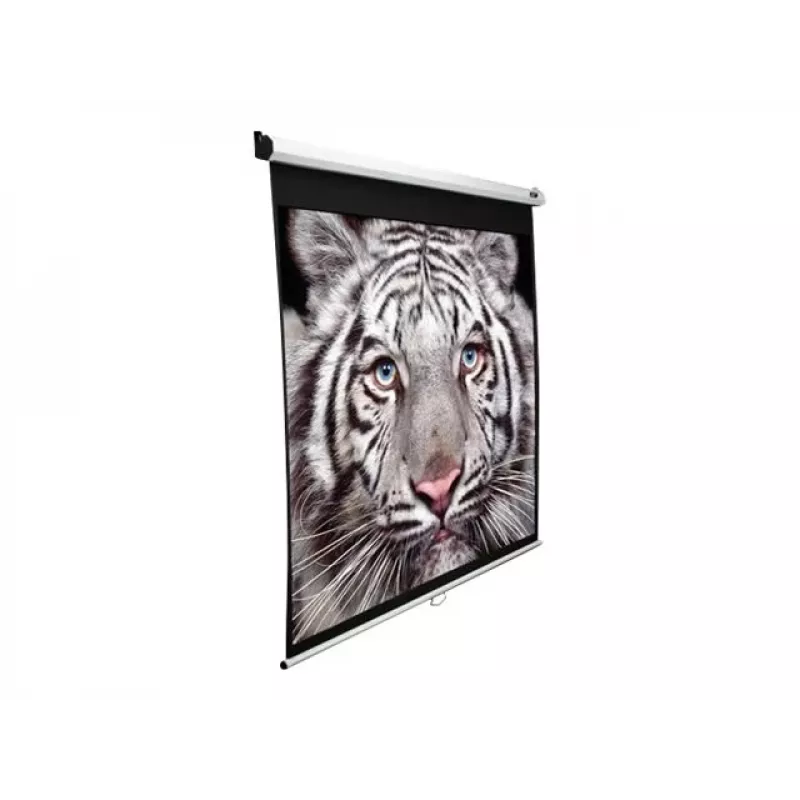 Projektinis ekranas Elite Screens M150XWH2 3.81 m 16:9
