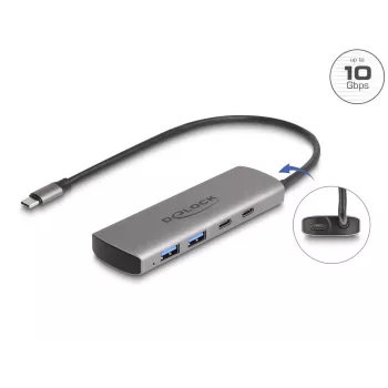 USB šakotuvas DeLOCK 64299