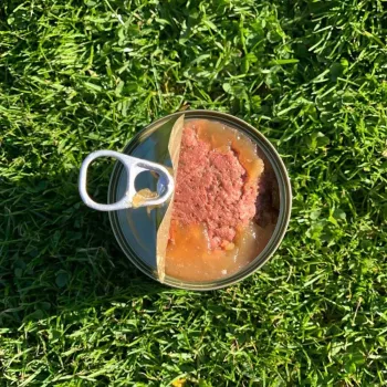 Šlapias šunų ėdalas OLLO Pure Beef and Green Tripe 400 g skardinė – suaugusiems, baltymai 14,5%, riebalai 11,9%, drėgmė 69%