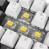 Sharkoon SGK50 S4 klaviatūra USB QWERTZ vokiška balta RGB LED 60%