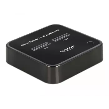 DeLOCK 64178 Docking Station USB 3.2 Gen 2 Type-C M.2 SATA SSD