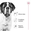 ROYAL CANIN Giant Adult – sausas šunų maistas – 15 kg
