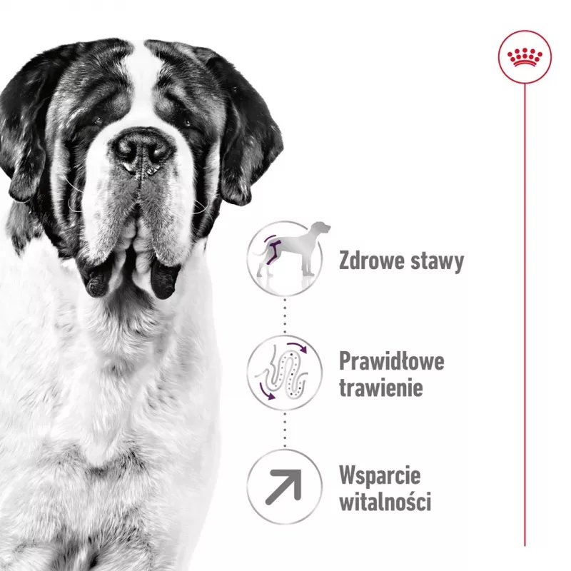 ROYAL CANIN Giant Adult – sausas šunų maistas – 15 kg