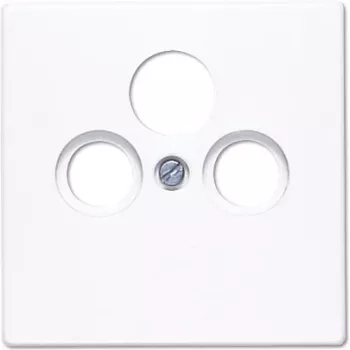 Rėmelis sieniniam jungikliui JUNG LS 990 SAT WW – minimalistinis moduliniams elektros jungikliams