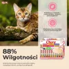 INABA Churu Variety box Tuna - skanėstai katėms - 60 x 14g