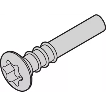 SCHROFF Torx lęšinė galvutė varžtas - NTS LISESHR TORX3.0X20 100 vnt. (24812501)