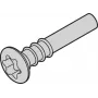 SCHROFF Torx lęšinė galvutė varžtas - NTS LISESHR TORX3.0X20 100 vnt. (24812501)