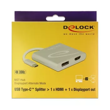 USB grafikos adapteris DeLOCK 87716 2560 x 1440 pikseliai sidabrinis