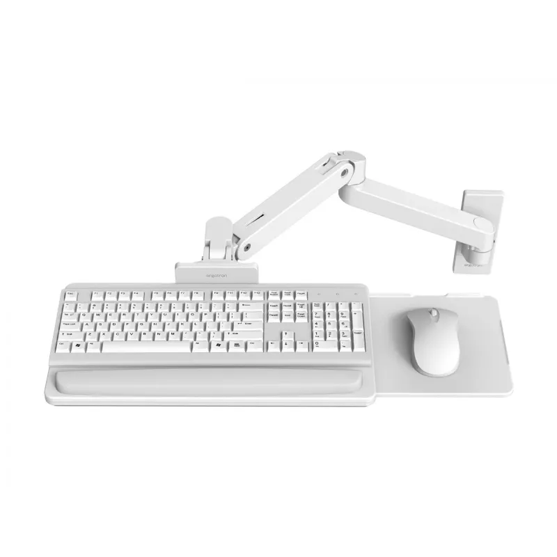 Ergotron LX Pro - klaviatūros ir pelės padėklas su laikančiosios rankenos tvirtinimu (45-685-290)