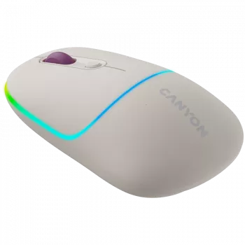 CANYON pelė MW-22 2-in-1 BT/Belaidė Rice