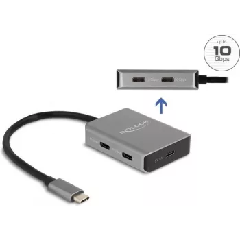 USB Type-C stotelė DeLOCK 64249 10000 Mbit/s Juoda Pilka