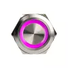 DimasTech PD197 25 mm Silverline Ring vandalizmui atsparus mygtukas