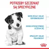Royal Canin Mini Puppy SHN sausas maistas šunims, 2 kg