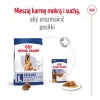 Sausas šunų ėdalas Royal Canin Maxi Adult 5+ 15 kg – vištiena, Baltymai 26%, Riebalai 17%