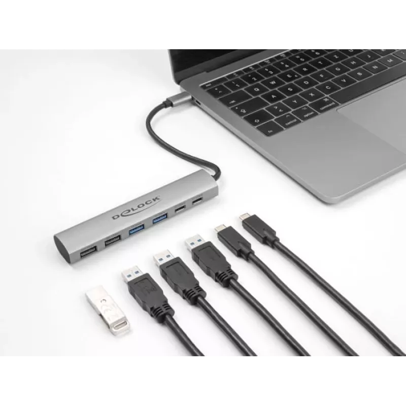 DeLOCK 64232 USB 3.2 Gen 1 stotelė, 4× USB-A, 2× USB-C, pilka