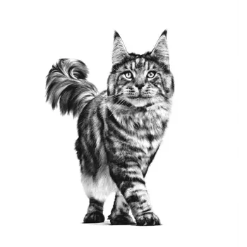 ROYAL CANIN Cat Gastrointestinal VHN – sausas ėdalas katėms – 400 g